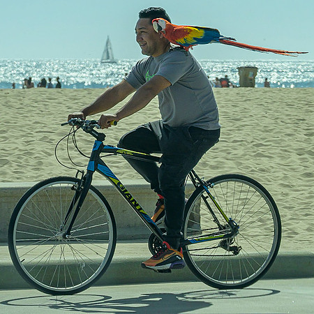 Santa Monica 2022