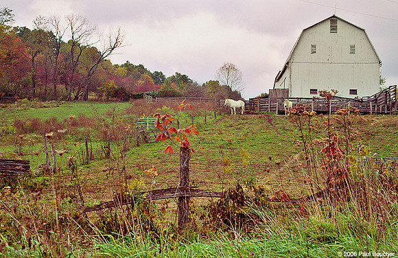 Horses Fall, Ohio