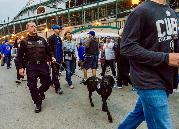 Police Officer with Dog outside of Wrigley Field