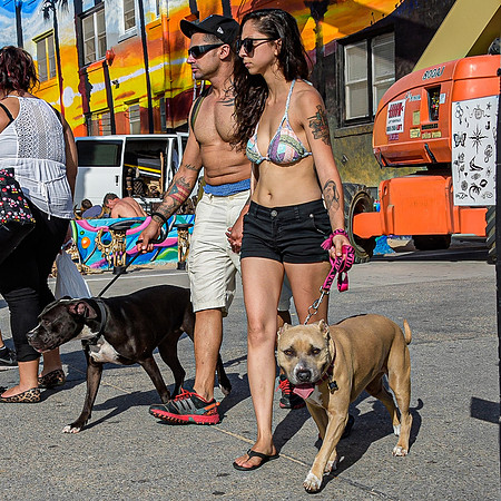Walking the dogs in Venice Beach