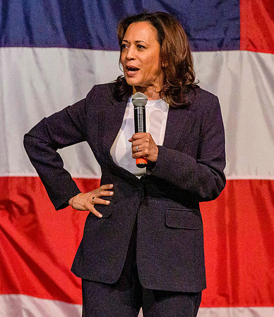 Kamala Harris at Iowa Wing Ding 8/8/19