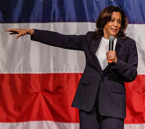 Kamala Harris at Iowa Wing Ding 8/8/19