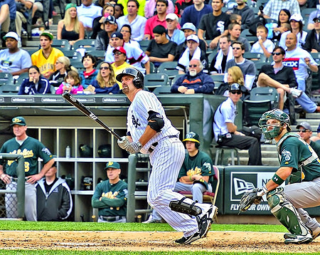 White Sox 2013