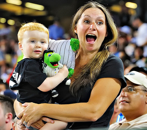 White Sox 2012