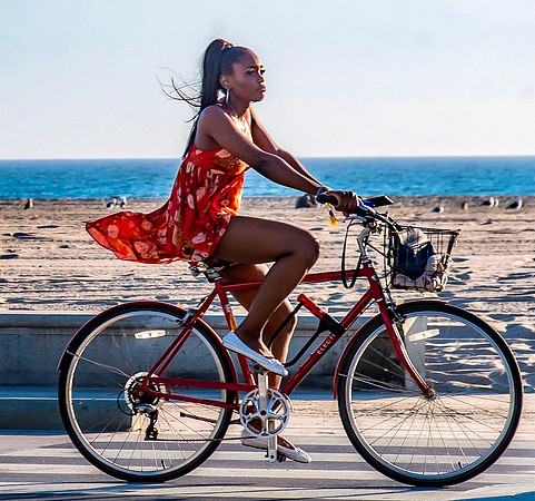 Santa Monica "Bicycle Thoughts"