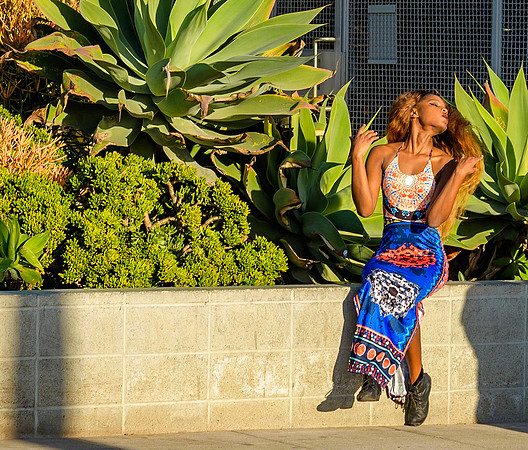Venice Beach Sun Worshipper