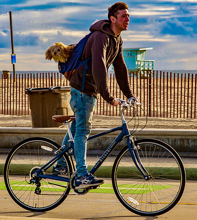 Santa Monica