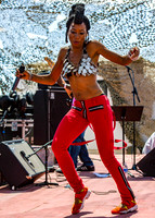 Joshua Tree Festival