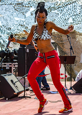 Joshua Tree Festival