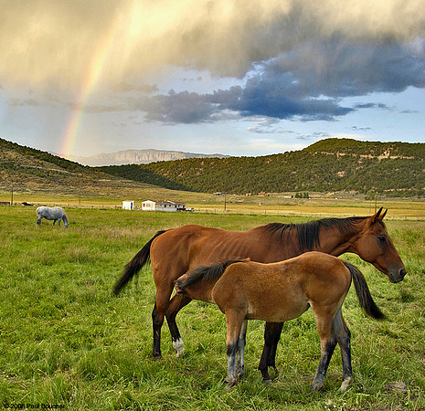 Ridgeway, Colorado