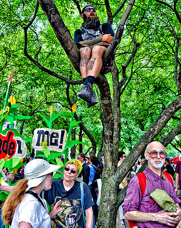 NATO Chicago