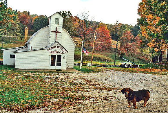 Ohio Church Dog