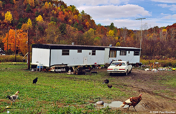 Chickens in front of Trailer Ohio Fall