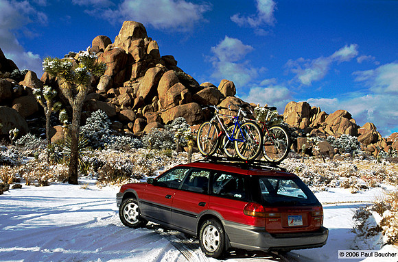 Ruby Subaru, Joshua Tree