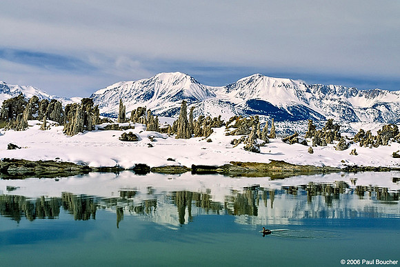 Ducks on Mono Lake, California