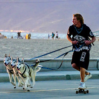 Boardwalk Iditarod 2022